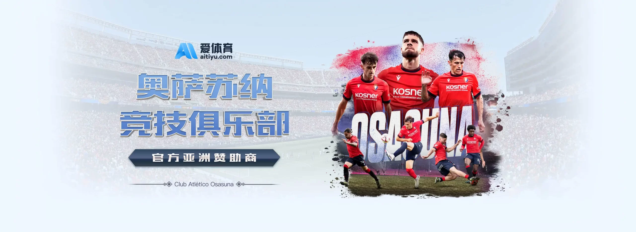 用户口碑与市场热度评估