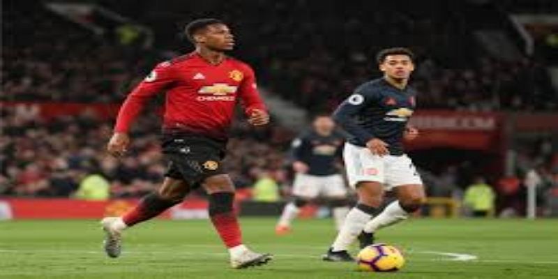 从受害者到倡导者：用声音点燃希望-米兰体育