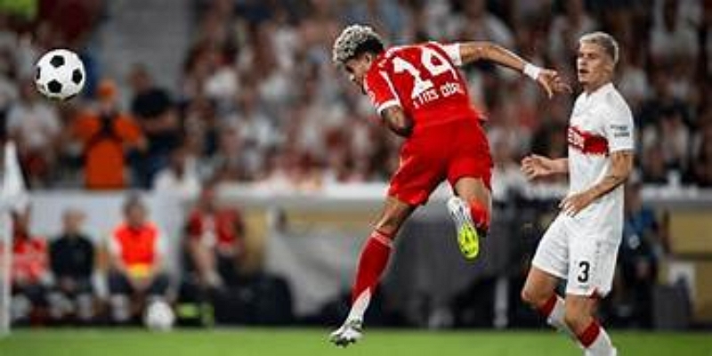 爱体育专家视角：经验或将决定冠军归属-爱体育