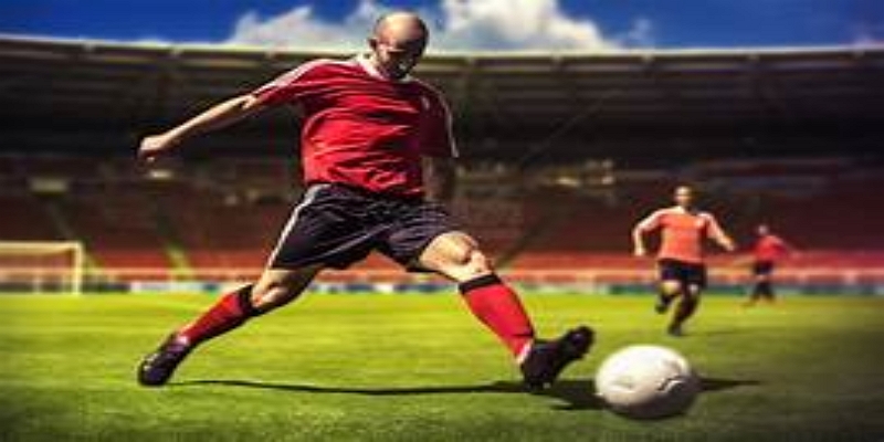 科学研究揭示惊人数据 -爱体育